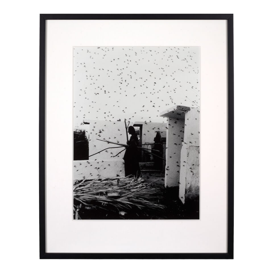 Graciela Iturbide (born 1942); Cementerio, Juchitán, México; - 2