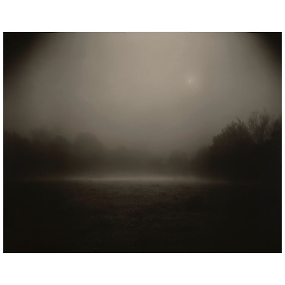 Sally Mann (born 1951); Untitled (from 'Mother Land'); (1 of 2)