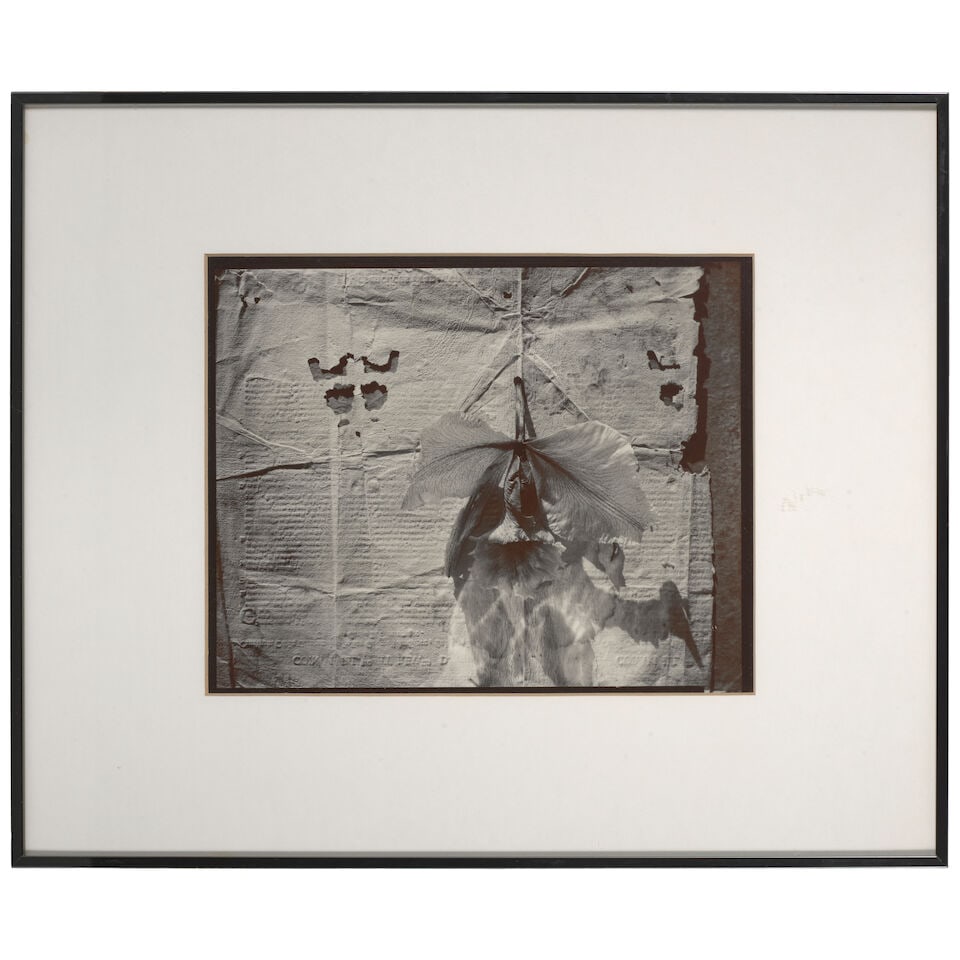 Olivia Parker (born 1941); 'Presence'; - 2