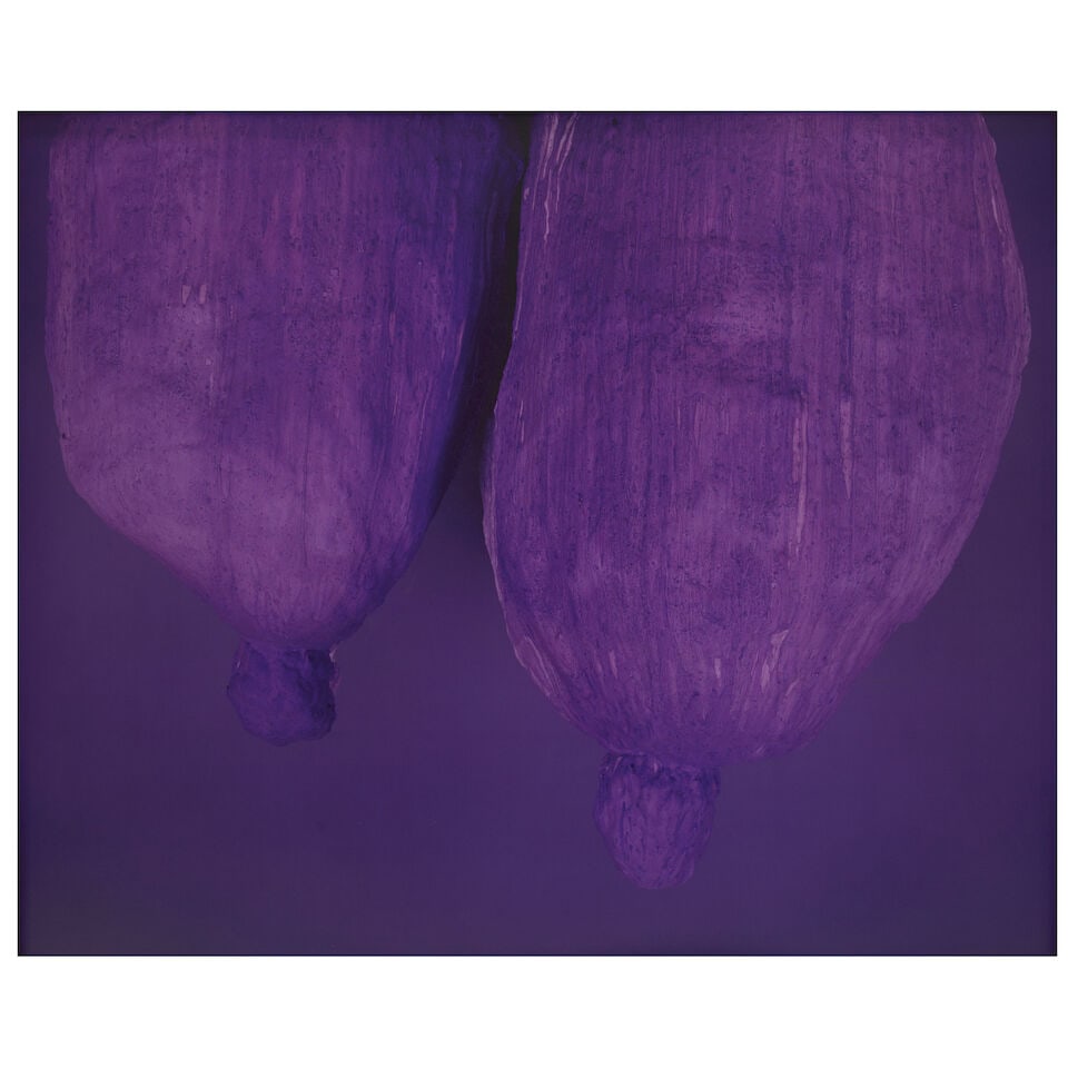 David Benjamin Sherry (born 1981); Active Amethyst Afternoon In Indigo Identity Ideal Ice (from ... (1 of 2)