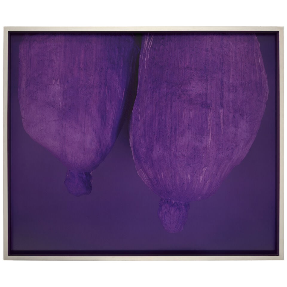 David Benjamin Sherry (born 1981); Active Amethyst Afternoon In Indigo Identity Ideal Ice (from ... - 2