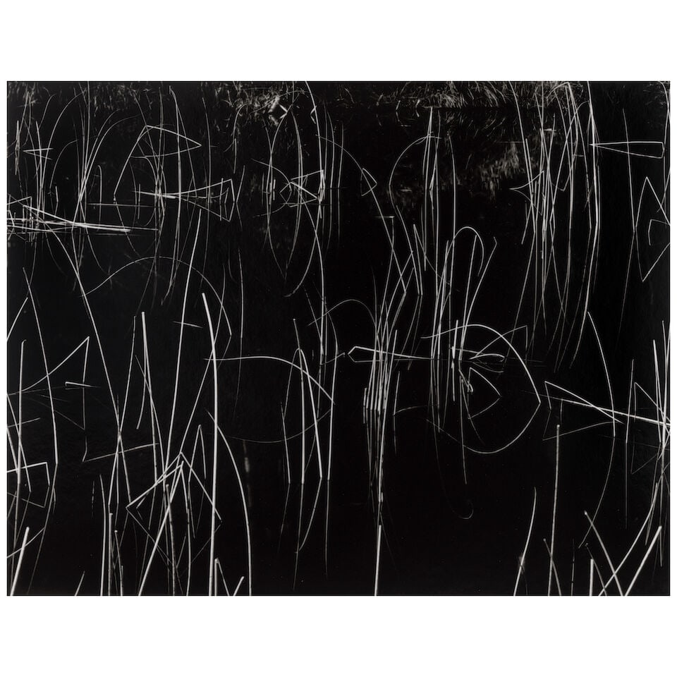 Brett Weston (1911-1993); Reeds, Oregon; (1 of 2)