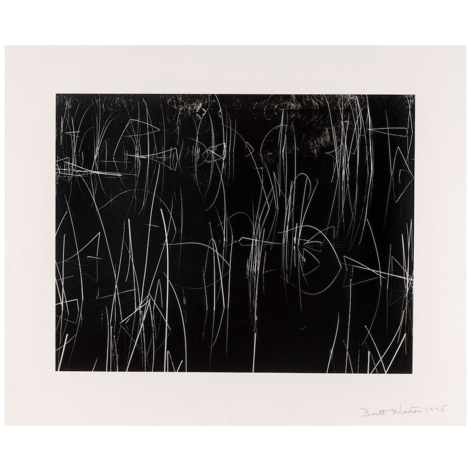 Brett Weston (1911-1993); Reeds, Oregon; - 2