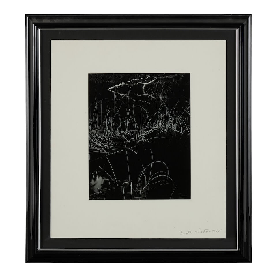 Brett Weston (1911-1993); Reeds, Oregon; - 2