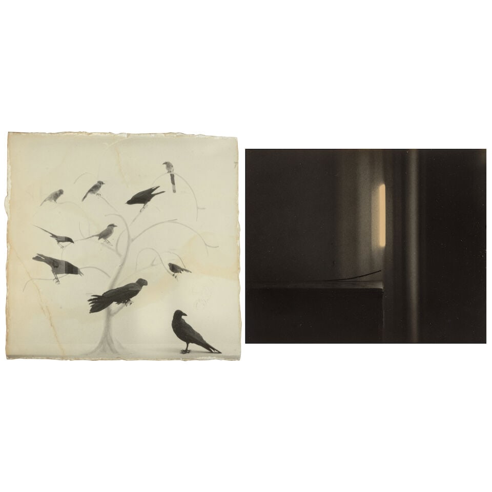 Masao Yamamoto (born 1957); Untitled #165 and Untitled #631 (from 'Box of Ku'); (1 of 5)