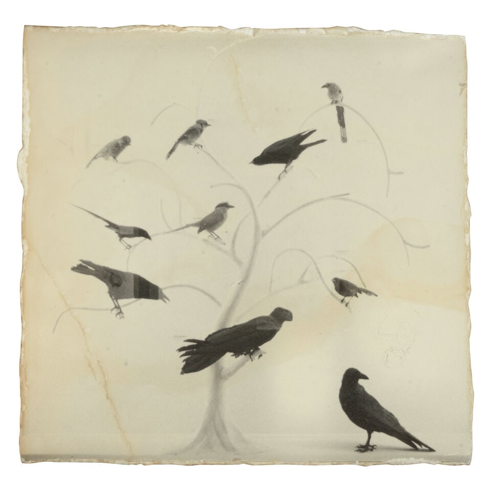 Masao Yamamoto (born 1957); Untitled #165 and Untitled #631 (from 'Box of Ku'); - 2