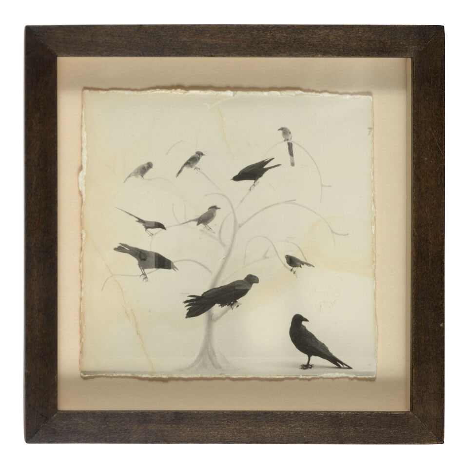 Masao Yamamoto (born 1957); Untitled #165 and Untitled #631 (from 'Box of Ku'); - 3