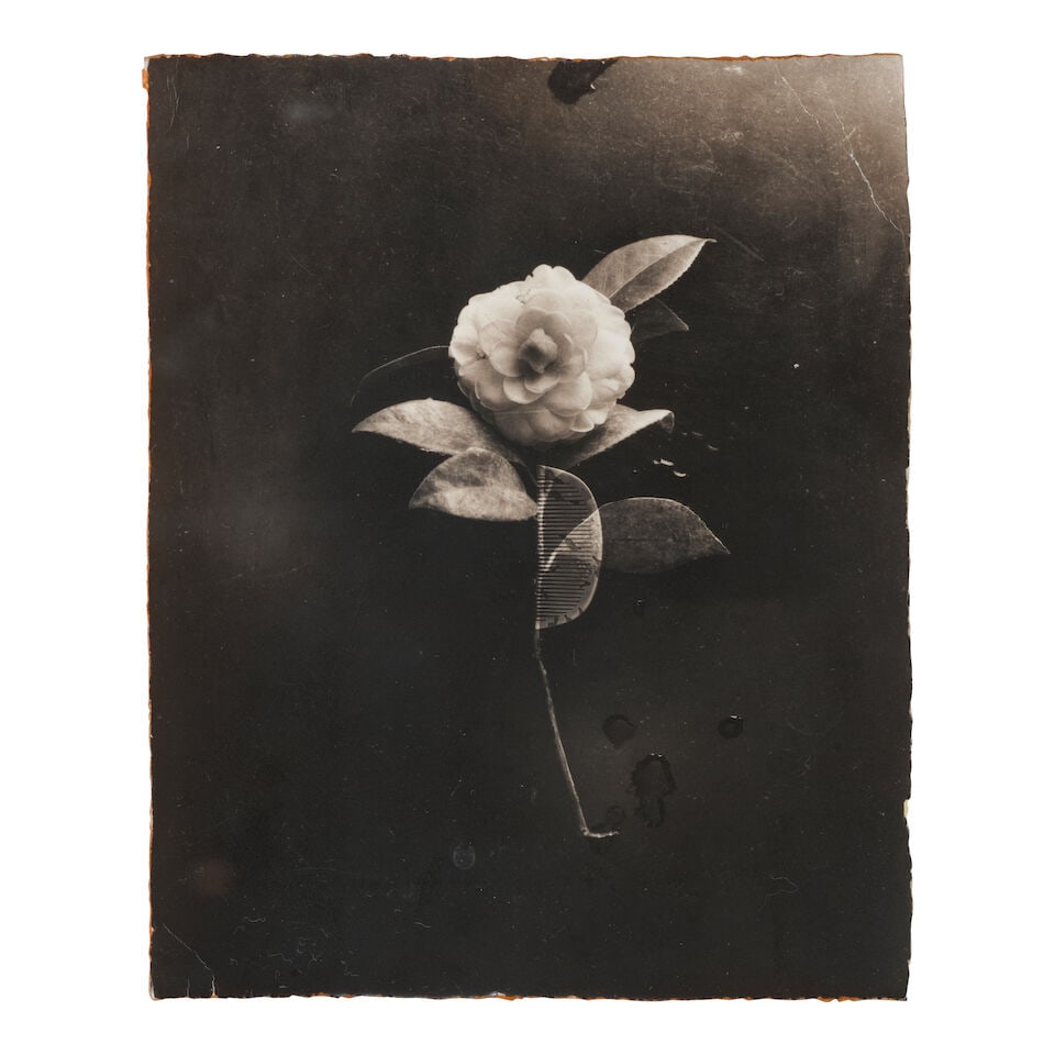 Masao Yamamoto (born 1957); Untitled #40 and Untitled #185 (from 'Box of Ku'); - 2