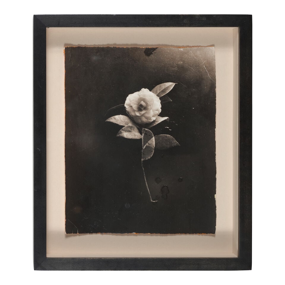 Masao Yamamoto (born 1957); Untitled #40 and Untitled #185 (from 'Box of Ku'); - 3