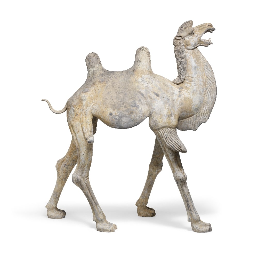 A LARGE POTTERY FIGURE OF A CAMEL Tang Dynasty: A LARGE POTTERY FIGURE OF A CAMEL Tang Dynasty The two-hump Bactrian camel powerfully modelled in mid-striding pose with right legs forward, the tall hair-lined neck raised and the mouth open as if be