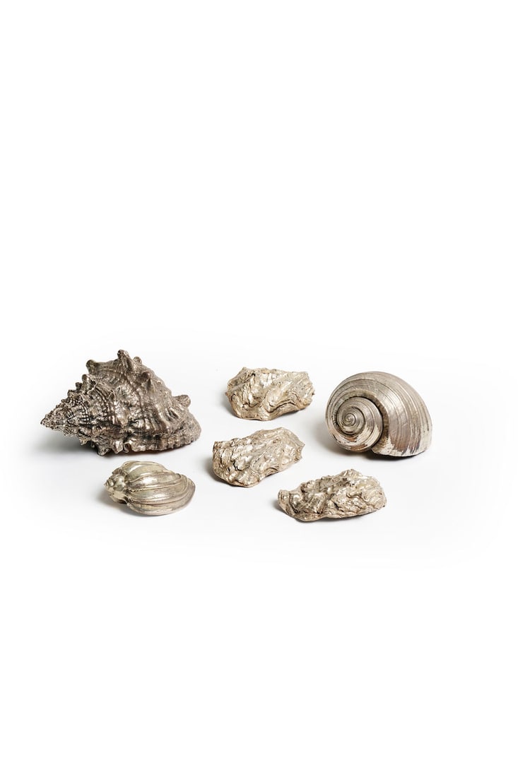 Frederico Buccellati | silver overlay shells (6): Frederico Buccellati | silver overlay shells Conch, Tonna Galea and Major Harp specimens, each signed Frederico Buccellati, measuring respectively 20.0, 13.0 and 9.0cm. Together with three additional