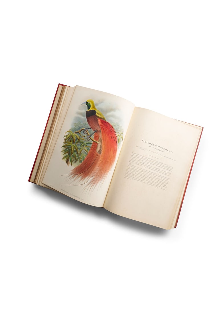 SHARPE, RICHARD BOWDLER (1847-1909) Monograph of the Paradiseidae, or Birds of Paradise, and Pti... (1 of 3)