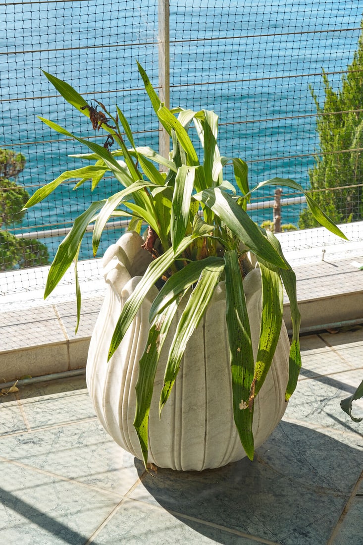 A pair of small white marble lotus form planters, - 2