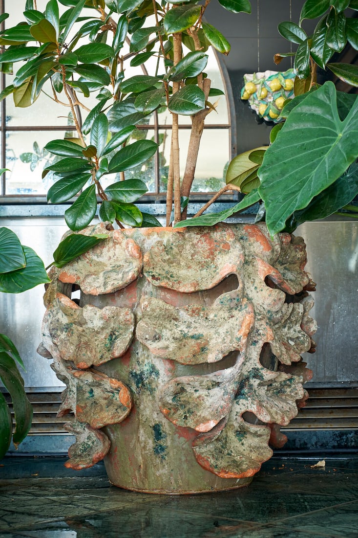 A pair of large terracotta 'Acanthus' planters, French, (2): A pair of large terracotta 'Acanthus' planters, French, hand-built with applied left decoration, both planted with magnolias, height of planter: 73.0cm, diameter of planter top: 70.0cm (2) This lot