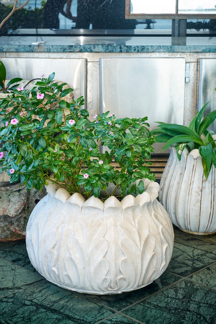 A small white marble lotus form planter,: A small white marble lotus form planter, planted with Catharanthus, height of planter: 44.0cm, diameter of planter top: 44.0cm This lot is subject to the following lot symbols: W TP W Please note