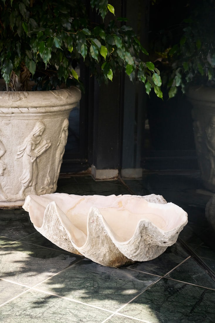A giant clam shell: A giant clam shell of typical form, 34.0cm high, 88.0cm wide, 60.0cm deep This lot is subject to the following lot symbols: TP TP Please note this lot is available for collection by professional carri