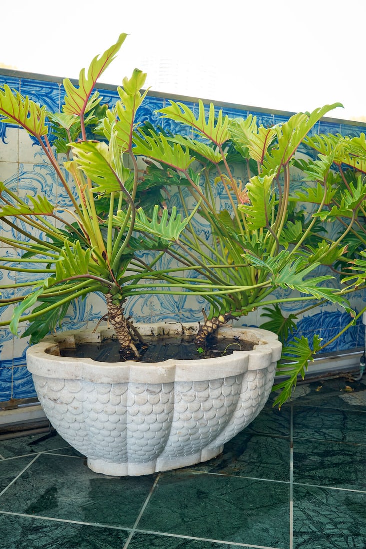 A pair of large white marble lobed planters (2) - 2