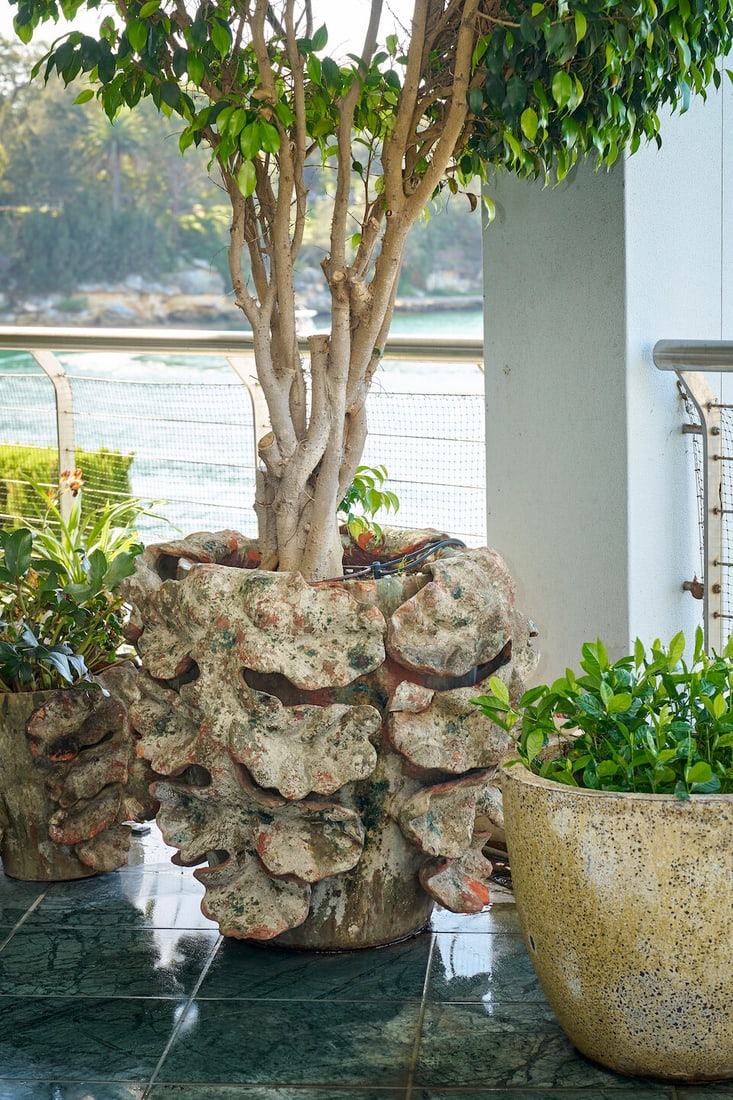 A pair of large terracotta 'Acanthus' planters, French,: A pair of large terracotta 'Acanthus' planters, French, hand-built with applied leaf decoration, both planted with ficus, height of planter: 73.0cm, diameter of planter top: 70.0cm This lot is