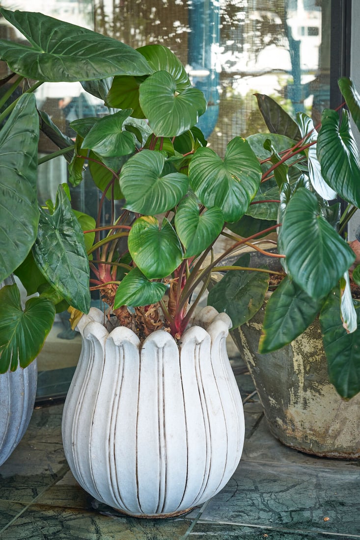 A pair of small white marble lotus form planters - 2