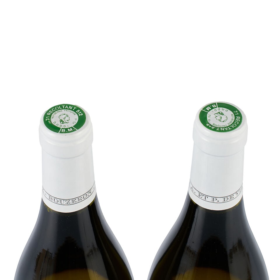 Domaine de Villaine, Bourgogne Côte Chalonnaise, Les Clous Aimé, White, 2016 (2 x 750ml) - 2