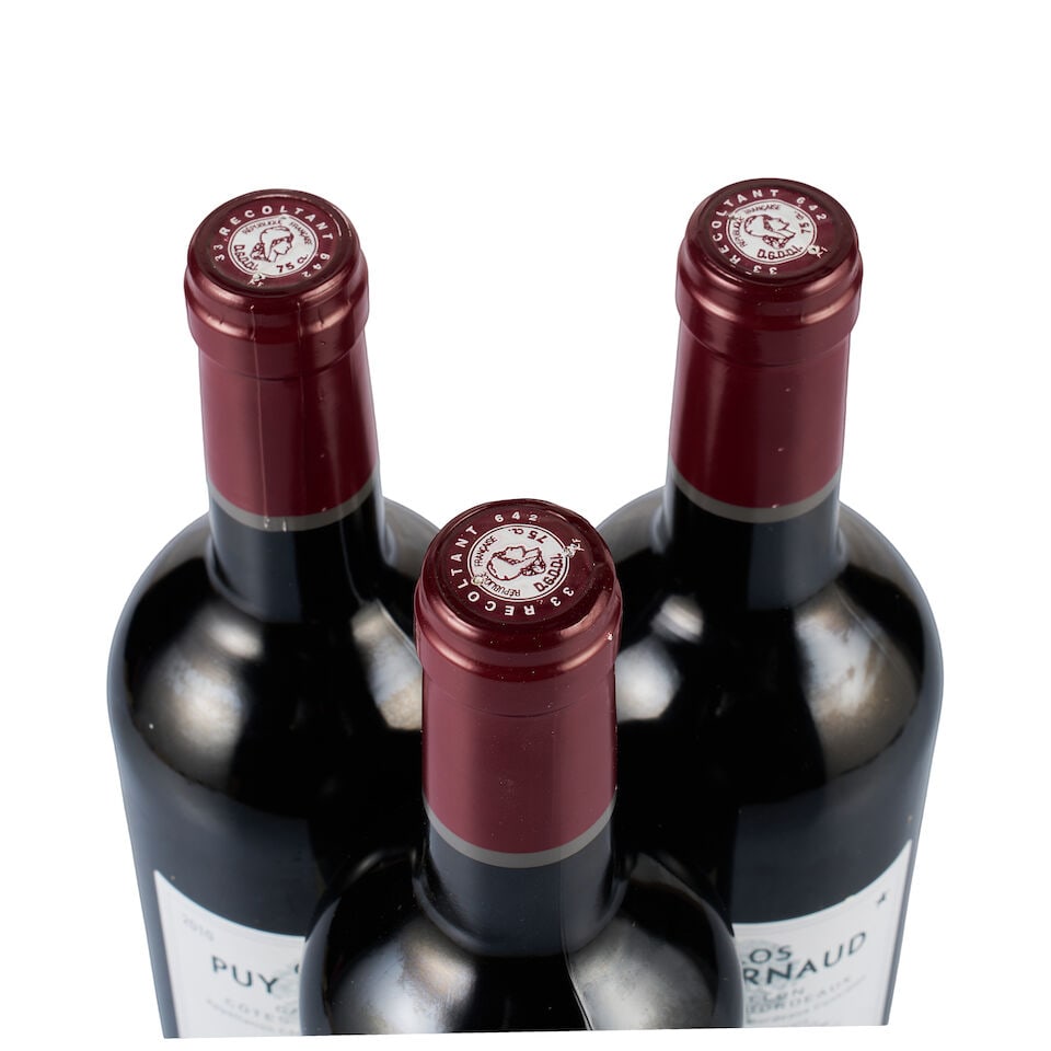 Clos Puy Arnaud, Castillon Côtes de Bordeaux, 2010 (3 x 750ml) - 2