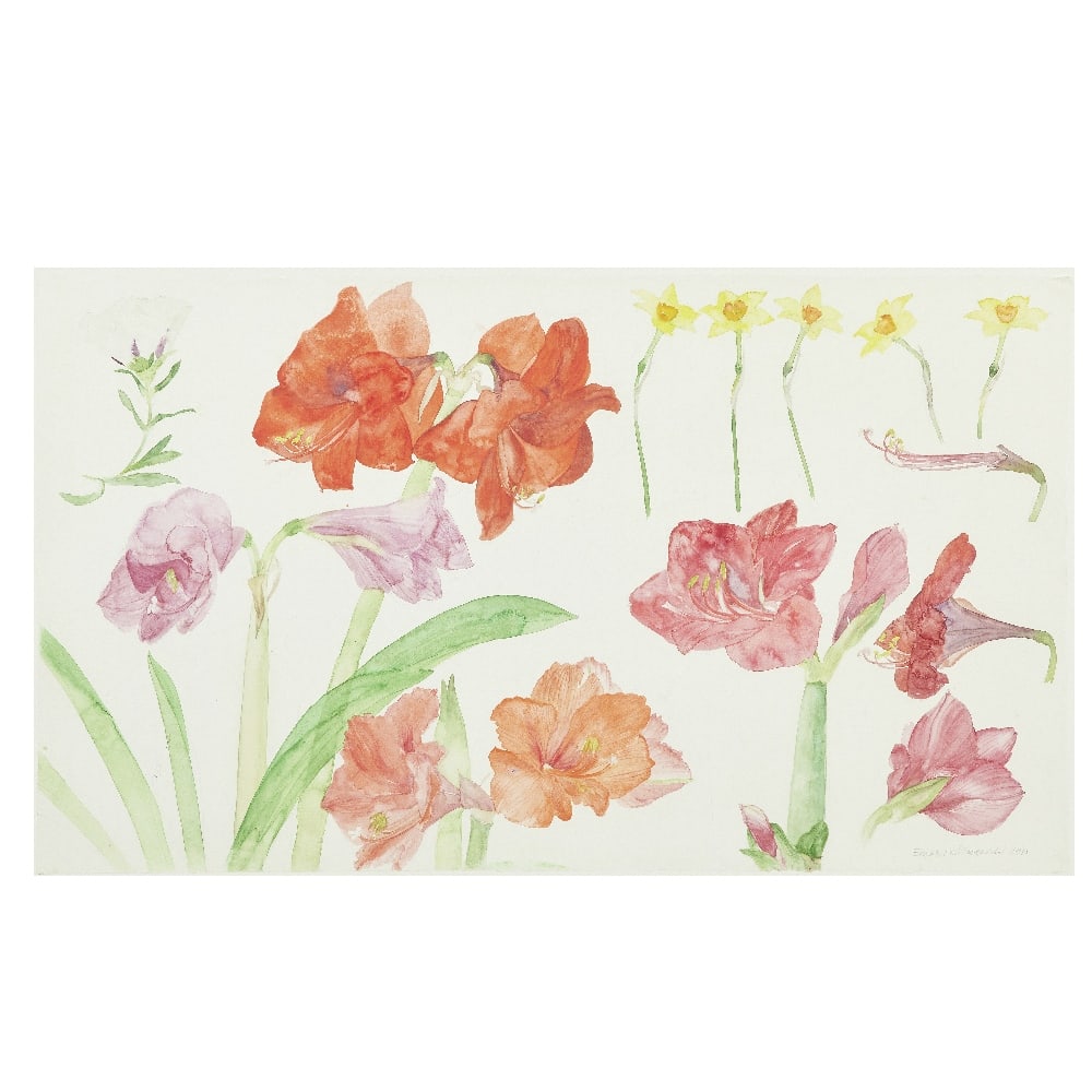 Dame Elizabeth Blackadder OBE RA RSA RSW RWA RGI DLitt (British, 1931-2021) Amaryllis, Narcissi ...: Dame Elizabeth Blackadder OBE RA RSA RSW RWA RGI DLitt (British, 1931-2021) Amaryllis, Narcissi and Hibiscus signed and dated in pencil 'Elizabeth Blackadder 1988' (lower right) watercolour and pencil