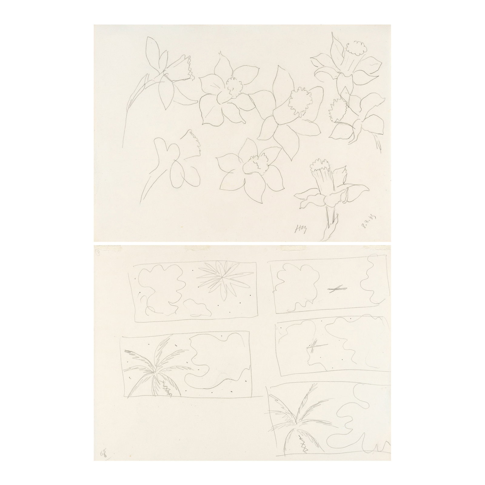 HENRI MATISSE (1869-1954) Jonquilles (recto); Palmiers et nuages (verso) 11 x 15 in (28.2 x 38.3...: HENRI MATISSE (1869-1954) Jonquilles (recto); Palmiers et nuages (verso) signed with the artist's initials and dated 'HM 8.3.45' (lower right, recto) pencil on paper 11 x 15 in (28.2 x 38.3 cm) Execut