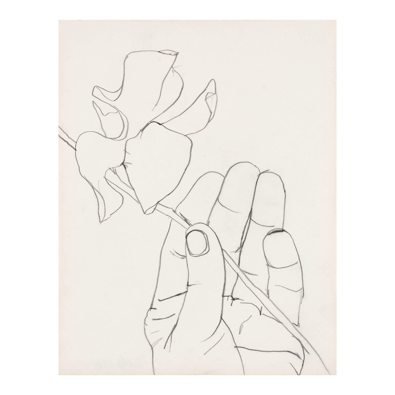 ELLSWORTH KELLY (1923-2015) Sweet Pea with Hand 13 3/4 x 10 3/4 in (34.8 x 27.3 cm) (Executed in... (1 of 1)