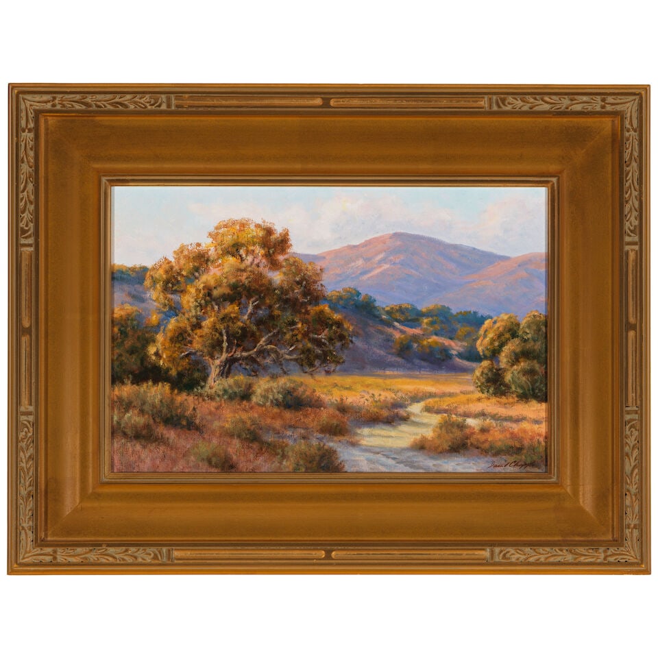 DAVID CHAPPLE (BORN 1947) Evening Creekbed 12 x 18 in. - 3
