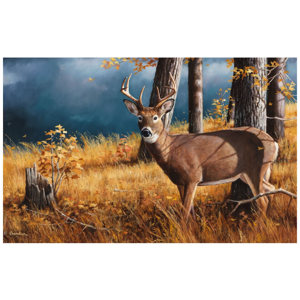 LARRY CHANDLER (1951-2007) Deer in the Woods 14 x 22 in.: LARRY CHANDLER (1951-2007) Deer in the Woods signed '© Chandler' (lower left) oil on Masonite 14 x 22 in. Footnotes: Provenance Property from the Estate of James and Nancy Dominy. For further inf