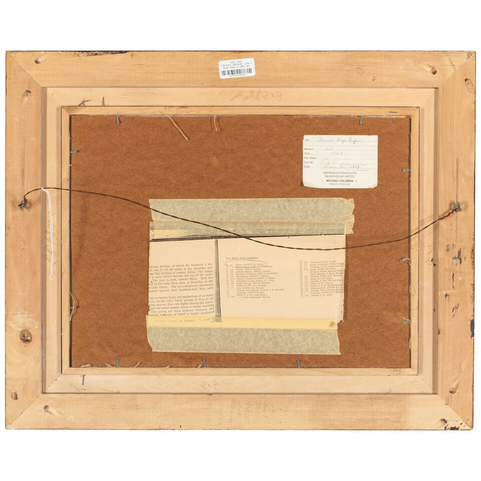 MICHAEL COLEMAN (BORN 1946) Record Cape Buffalo 14 x 19 in. (Painted in December 1989.) - 2