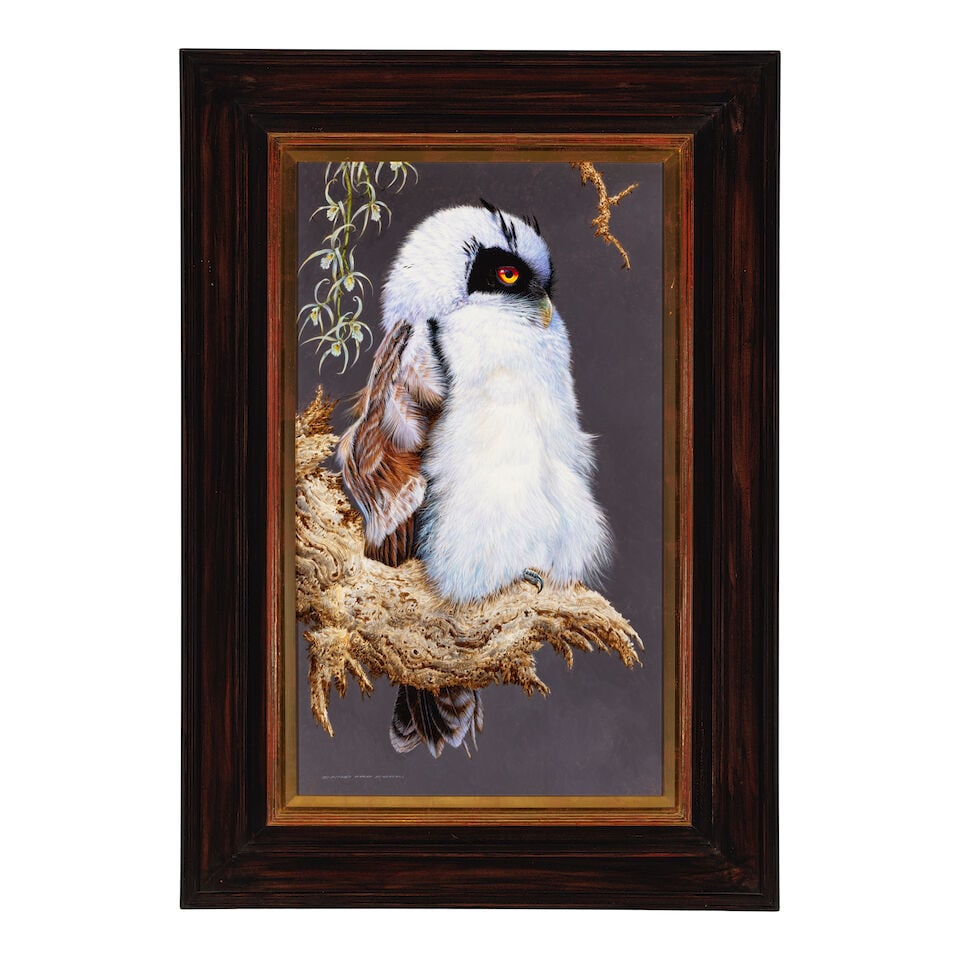 DAVID ORD KERR (BORN 1952) Immature Spectacled Owl 27 x 15 1/2 in. - 3