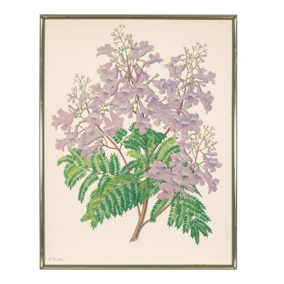 Lloyd Sexton, Jr. (1912-1990); Hawaiian Flowers; (4) - 3
