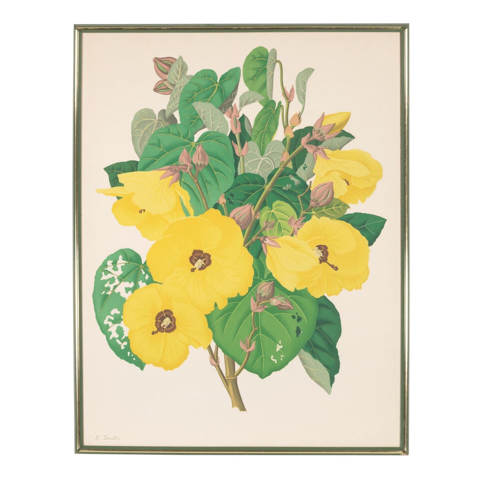 Lloyd Sexton, Jr. (1912-1990); Hawaiian Flowers; (4) - 4