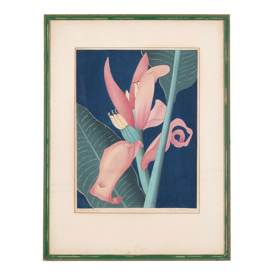 Shirley Ximena Hopper Russell (1886-1985); Banana Flower; - 3