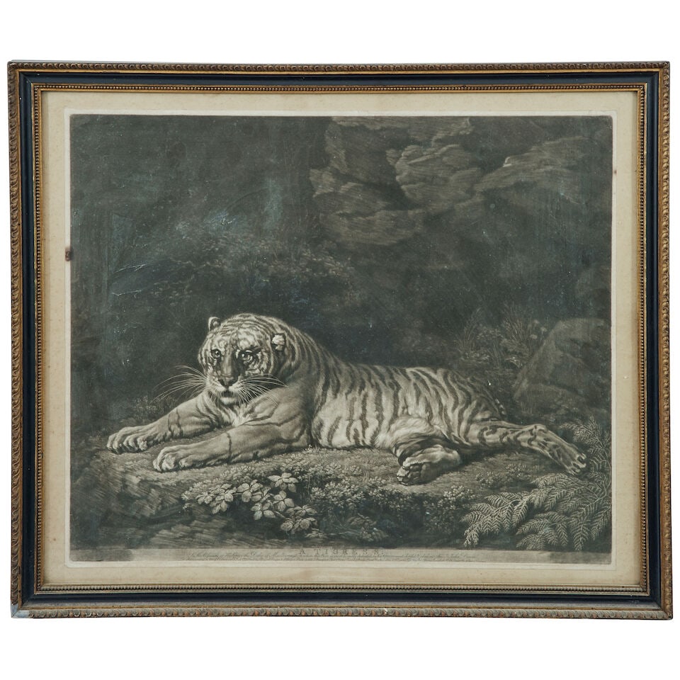John Dixon (circa 1740-circa 1801), after George Stubbs A Tigress mezzotint, published by J Boyd... - 2