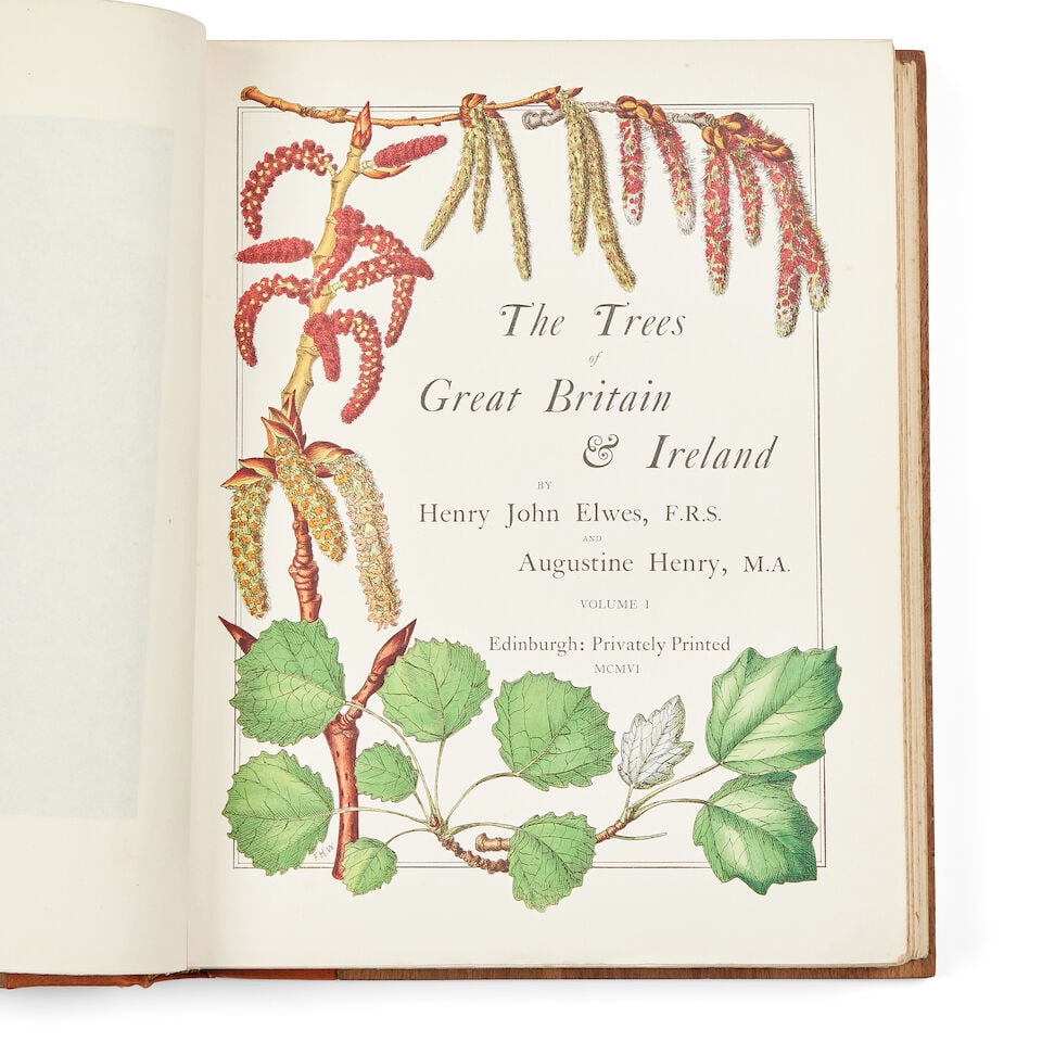 ELWES (H.J. AND H.A) The Trees of Great Britain and Ireland, 8 vol., FIRST EDITION, Edinburgh, P... - 2