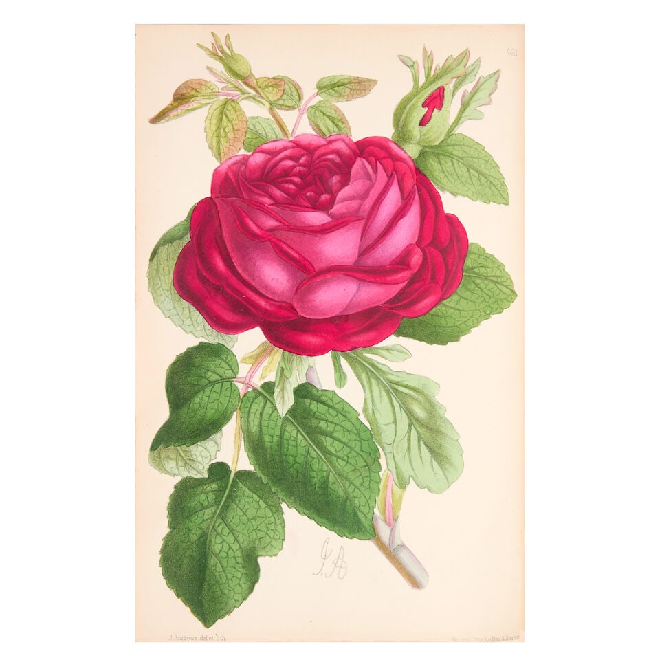 DOMBRAIN (H. HONYWOOD) The Floral Magazine, vol. 7 only (of 10), Lovell Reeve, 1869 - 2