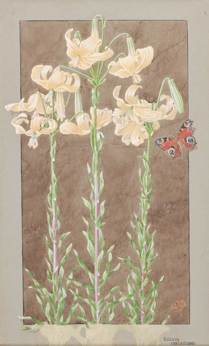 Rt. Hon. Sir Herbert Maxwell, 7th Bt. of Monreith, KT, PC, JP, DL, FRS (British, 1845-1937) Lili... - 5