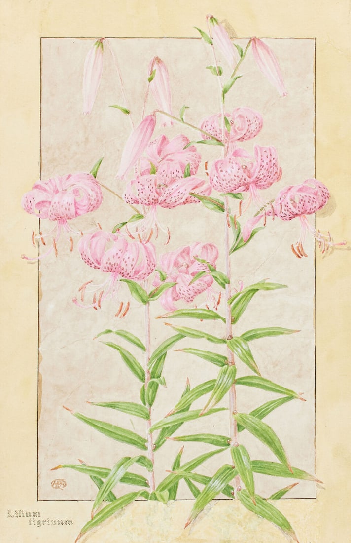 Rt. Hon. Sir Herbert Maxwell, 7th Bt. of Monreith, KT, PC, JP, DL, FRS (British, 1845-1937) Lili... - 8