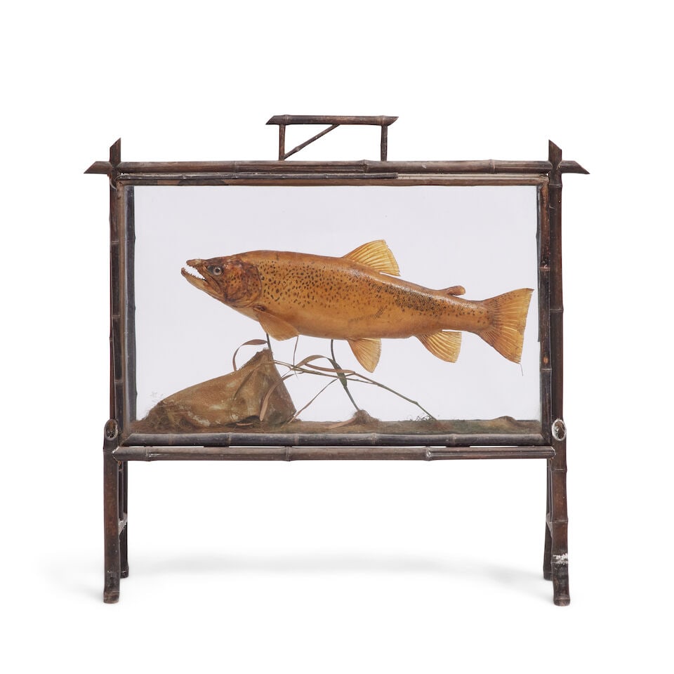 A cased pike by P D Malloch, Perth (3) - 2