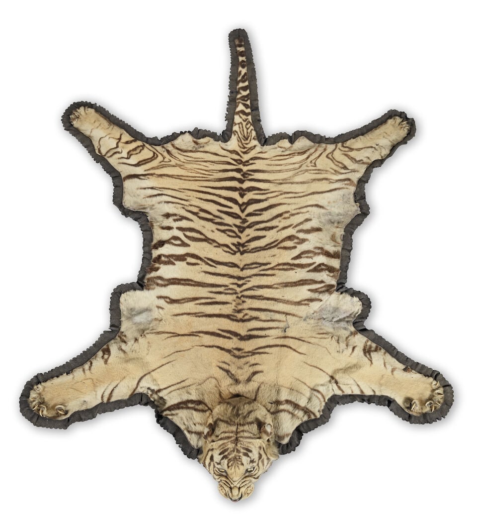 A good early 20th century Van Ingen tiger skin - 2