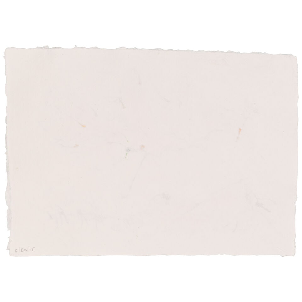 Sir Quentin Blake (British, born 1932) Birthday Wings No. 4 (unframed) (Painted in December 2025) - 2