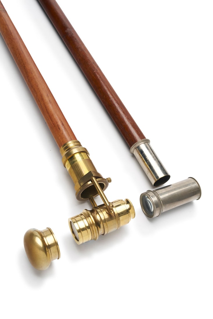 Two telescopic walking sticks English, 20th century (2) - 2