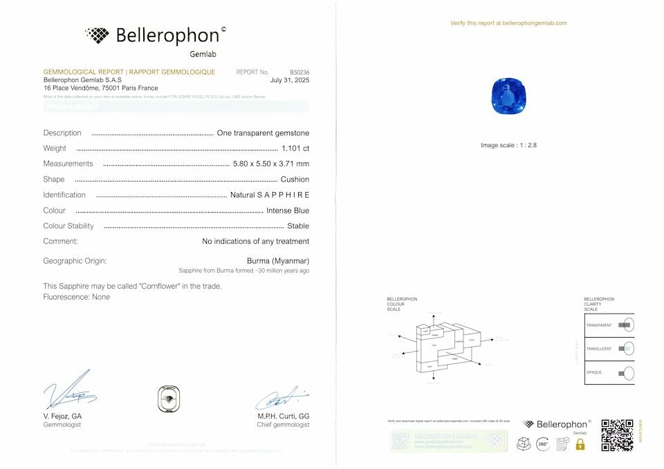PAIR OF SAPPHIRE AND DIAMOND PENDENT EARRINGS - 8