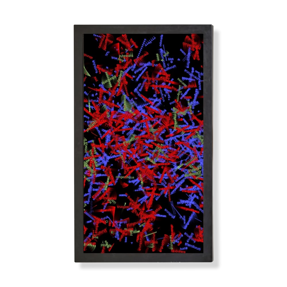 CHARLES SANDISON (N. 1969) Nymphéas bleus (single channel) 2008 (1 of 1)