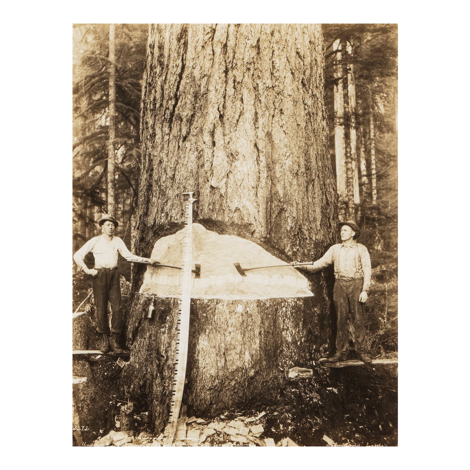 DARIUS KINSEY (AMERICAN, 1869-1945); Eagle Falls Logging Company (Index, Washington); (1 of 1)