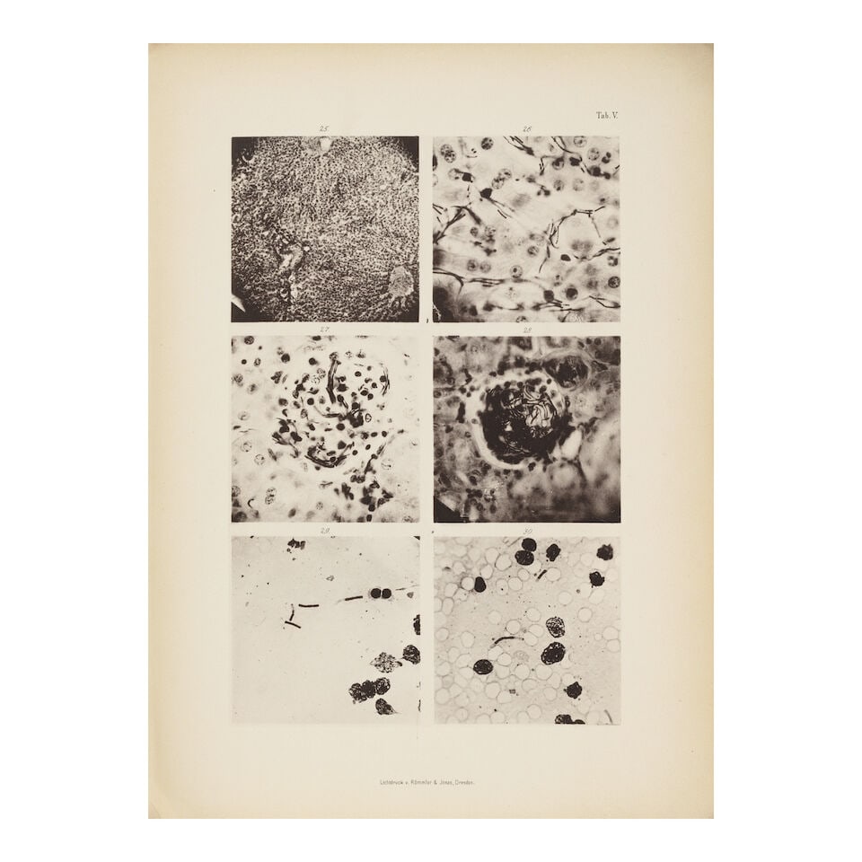 The first consistent method for obtaining pure cultures of virtually any species of bacteria. KO... - 3