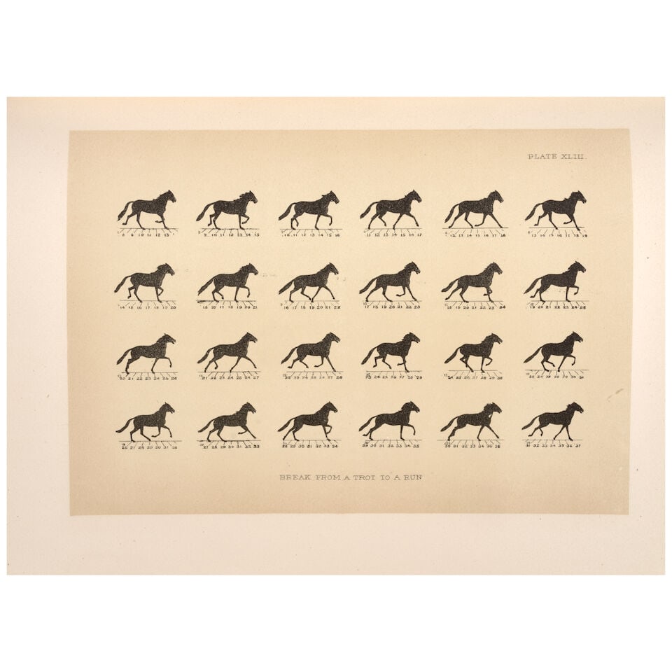 STILLMAN, JACOB DAVIS BABCOCK (1819-1888) & EADWEARD MUYBRIDGE (1830-1904) The Horse in Motion a...: STILLMAN, JACOB DAVIS BABCOCK (1819-1888) & EADWEARD MUYBRIDGE (1830-1904) The Horse in Motion as Shown by Instantaneous Photography, with a Study on Animal Mechanics Founded on Anatomy and the