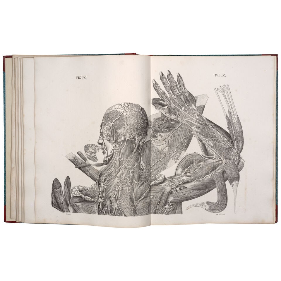 The Double Elephant Folio of Anatomy. Mascagni, Paolo. 1752-1815. Antommarchi, Francesco. 1789-1... - 2